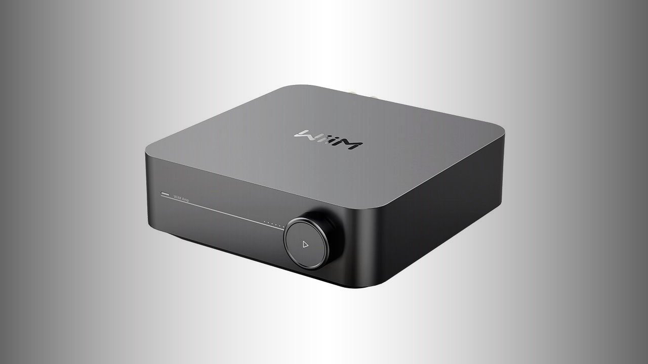 Wiim Amp